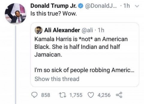 Trumpjrharris