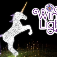 Winter LIghts at NC Arboretum on Sale Now!